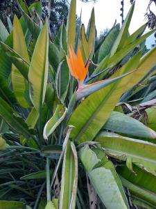 Jacquelien 03 Palulu